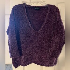 Express Chenille Crop Sweater Eggplant Purple